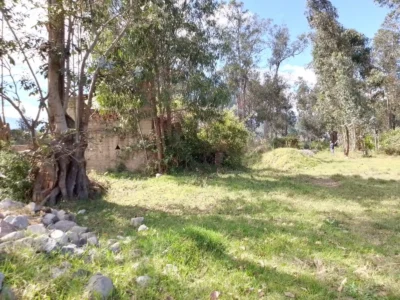 cazaprecio-ibarra-terreno-lacampiña1
