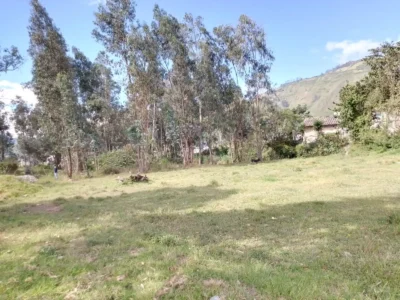 cazaprecio-ibarra-terreno-lacampiña3