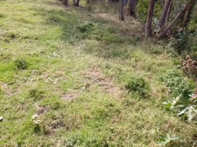 cazaprecio-ibarra-terreno-lacampiña4
