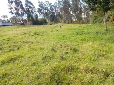 cazaprecio-ibarra-terreno-lacampiña6